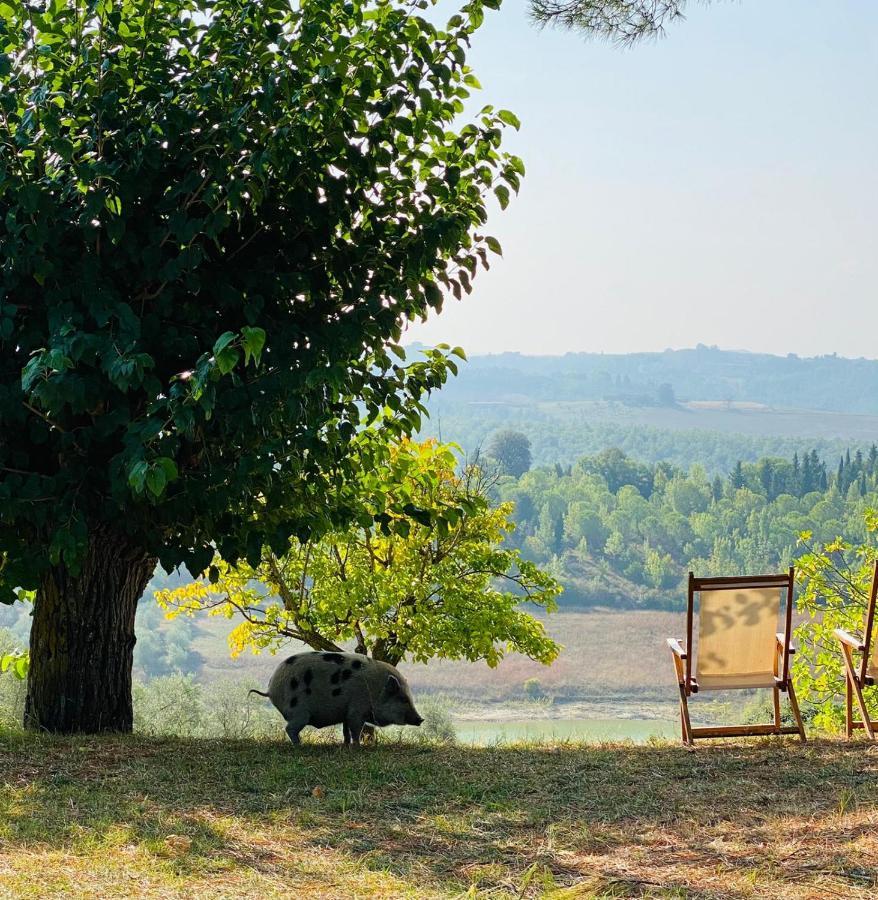 Agriturismo Sole Villa Trequanda Exterior photo